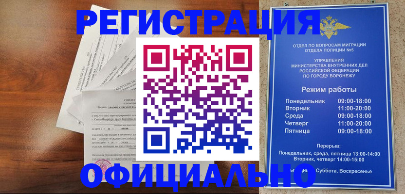 прописка поиск в Ельце